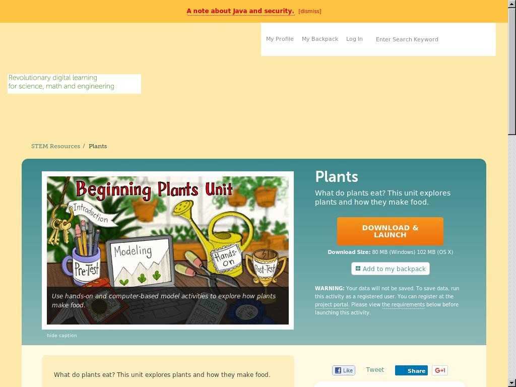 Plants